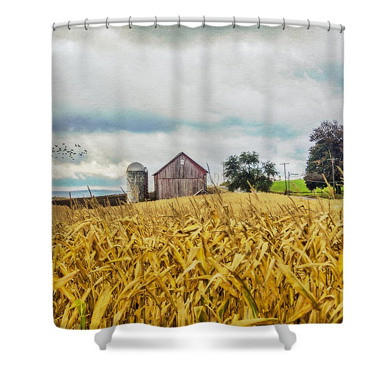 Corn Shower Curtain featuring the photograph At The Farm by Cathy Kovarik