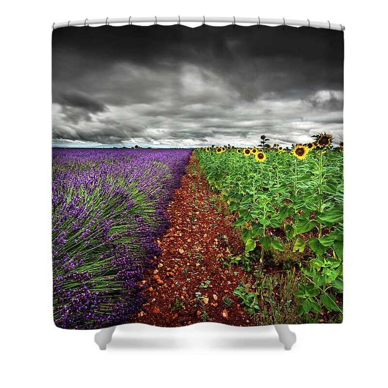 Landscape Shower Curtain featuring the photograph At the middle by Jorge Maia