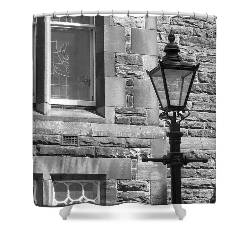 Lamppost Shower Curtain featuring the photograph At the window. by Elena Perelman