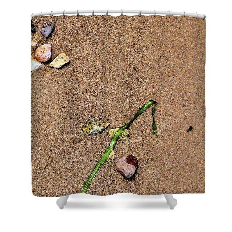 Water Shower Curtain featuring the photograph At Waters Edge 04 by Jimmy Ostgard