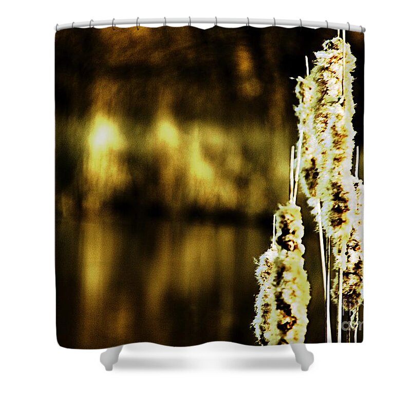 Cattails Shower Curtain featuring the photograph At Water's Edge by Don Kenworthy