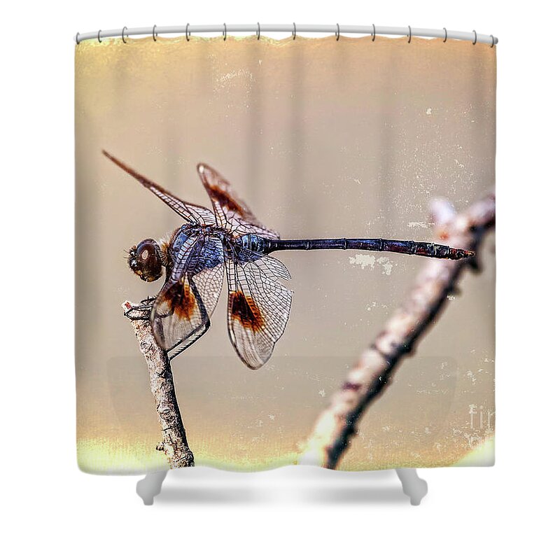Dragonflies Shower Curtain featuring the digital art Attached by DB Hayes