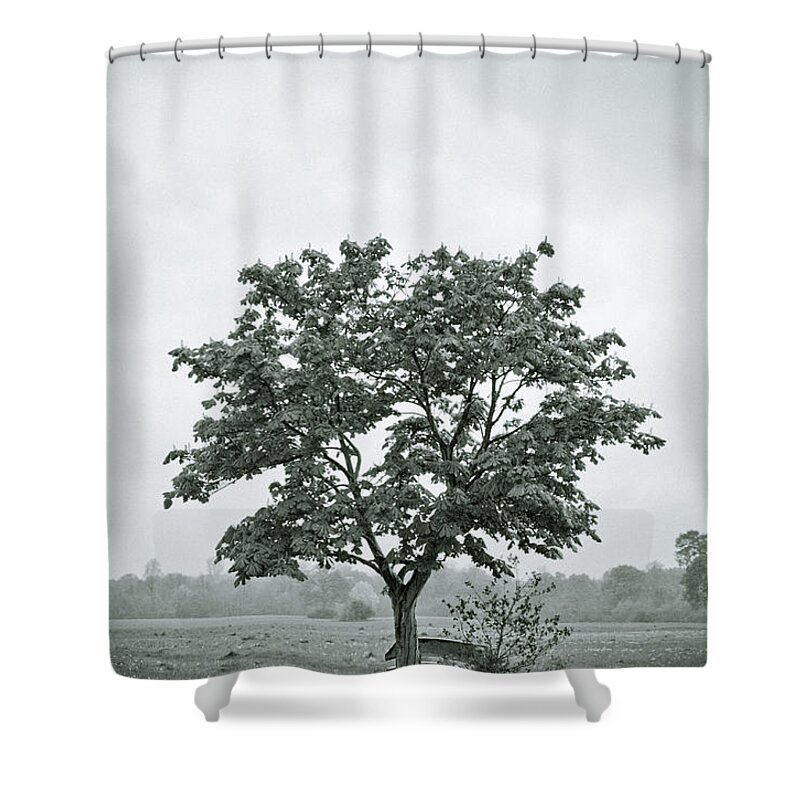 Tree Shower Curtain featuring the photograph August in England by Andy Smy