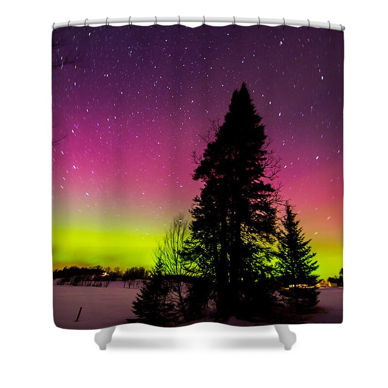 Aurora Shower Curtain featuring the photograph Aurora with Spruce Tree by Tim Kirchoff