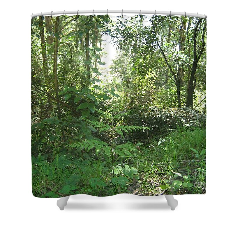 Trees Shower Curtain featuring the photograph Australian Bushland by Leanne Seymour