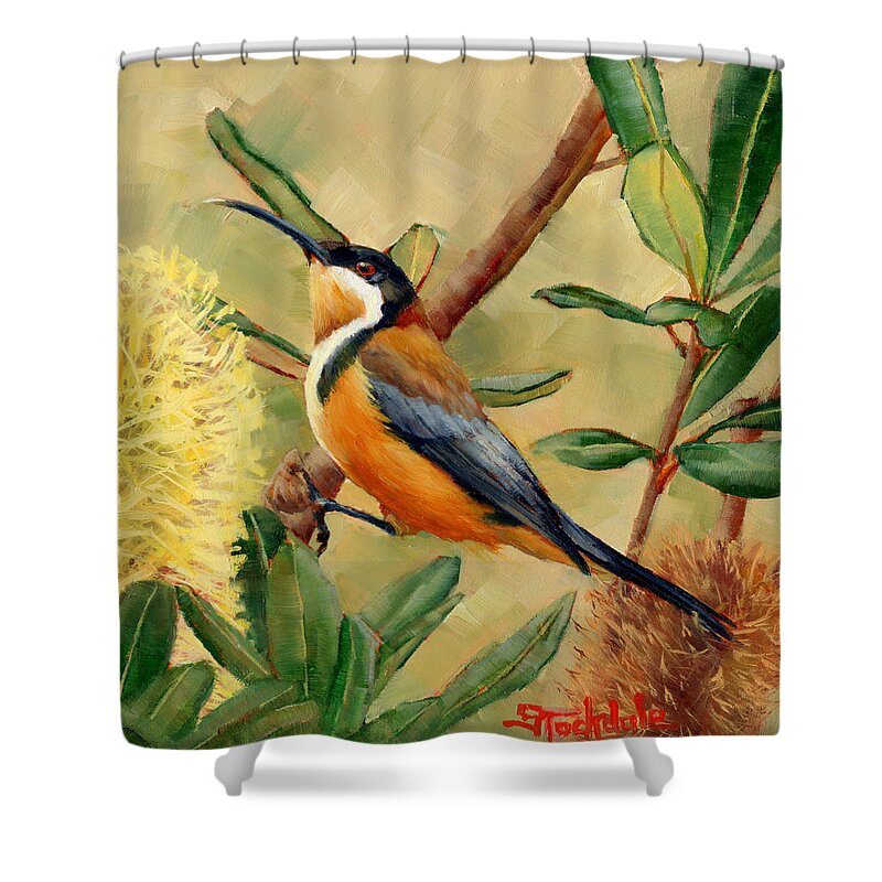 Bird Shower Curtain featuring the painting Australian Eastern Spinebill by Margaret Stockdale