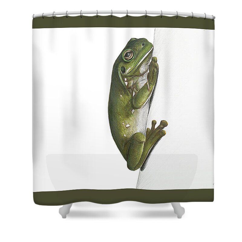 Australian Green Tree Frog Shower Curtain by Alicia Blazak - Pixels