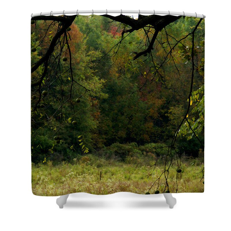Autumn Shower Curtain featuring the photograph Autumn - 3 by Linda Shafer