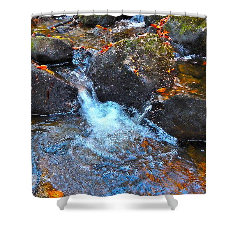 Autumn Landscape Shower Curtain featuring the photograph Autumn 2015 170 by George Ramos