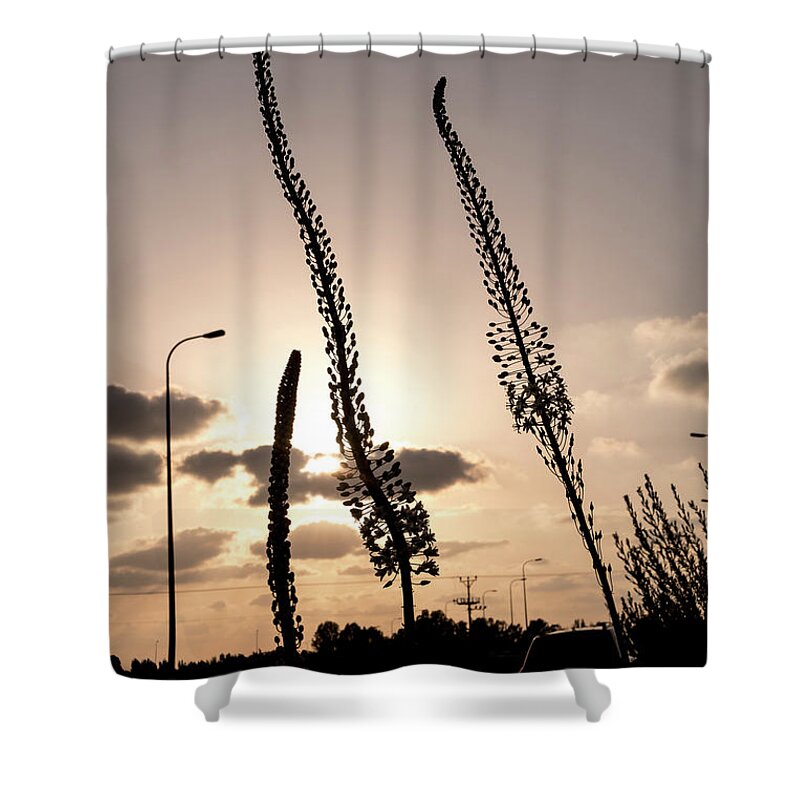 Wildflowers Shower Curtain featuring the photograph Autumn Alarm 02 by Arik Baltinester