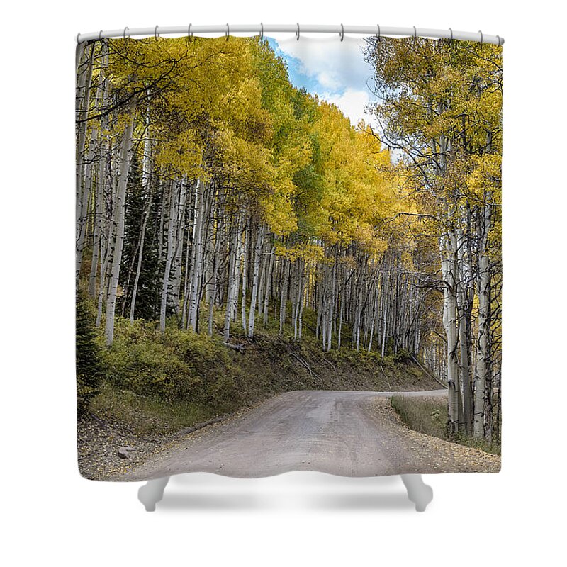 Scenic Shower Curtain featuring the photograph Autumn Aspen Tree Lined Rocky Mountain Road by James BO Insogna