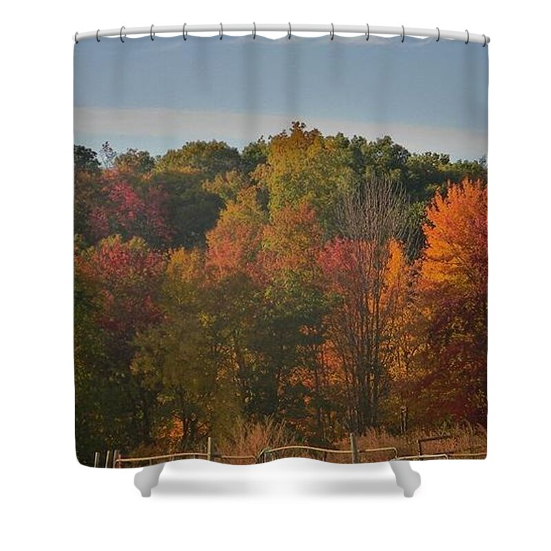 Barns Shower Curtain featuring the photograph Autumn Barn by Diane Valliere