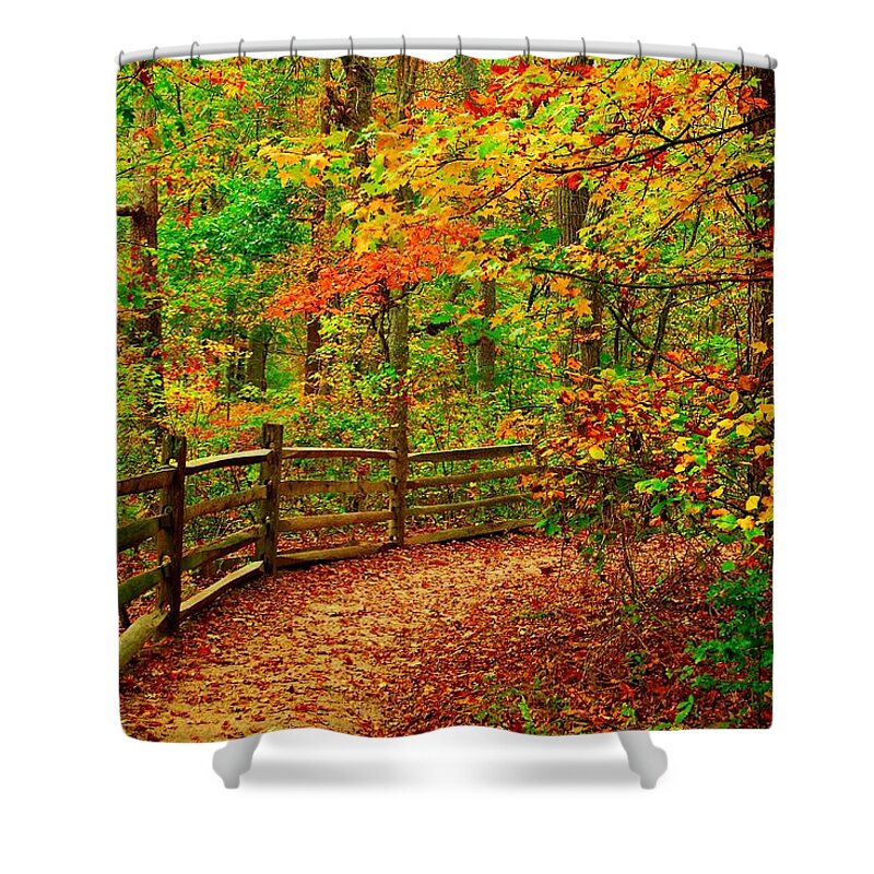 Autumn Landscapes Shower Curtain featuring the photograph Autumn Bend - Allaire State Park by Angie Tirado