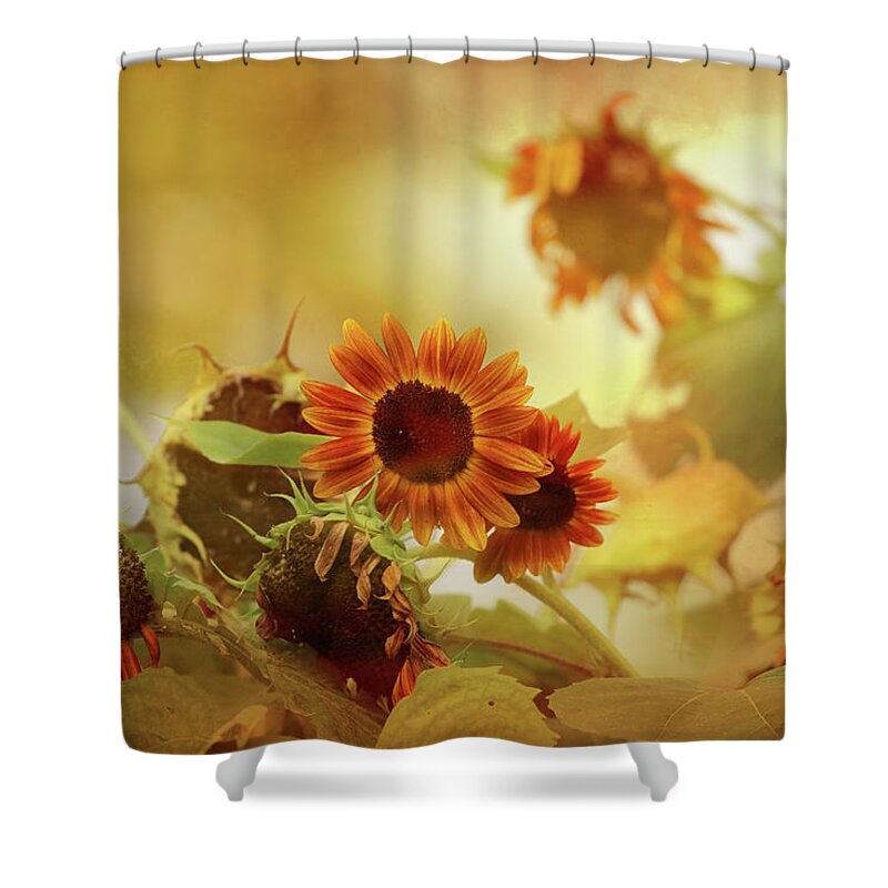Sunflower Shower Curtain featuring the photograph Autumn Blessings by Theresa Campbell