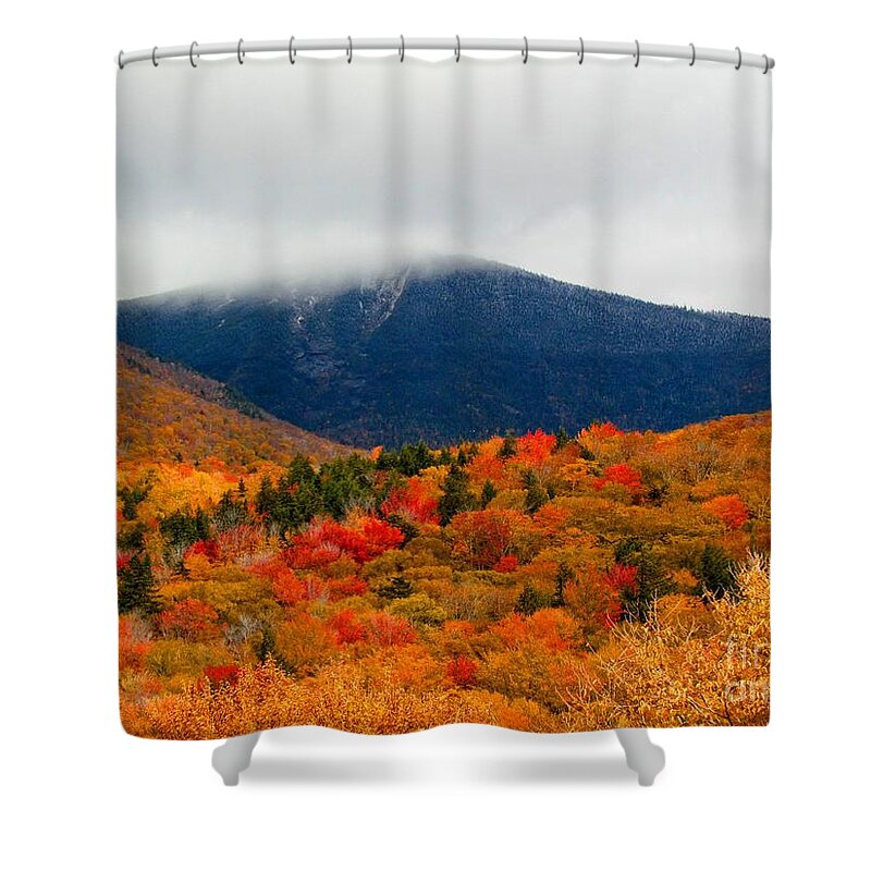 Autumn Shower Curtain featuring the photograph Autumn Bliss by Elizabeth Dow