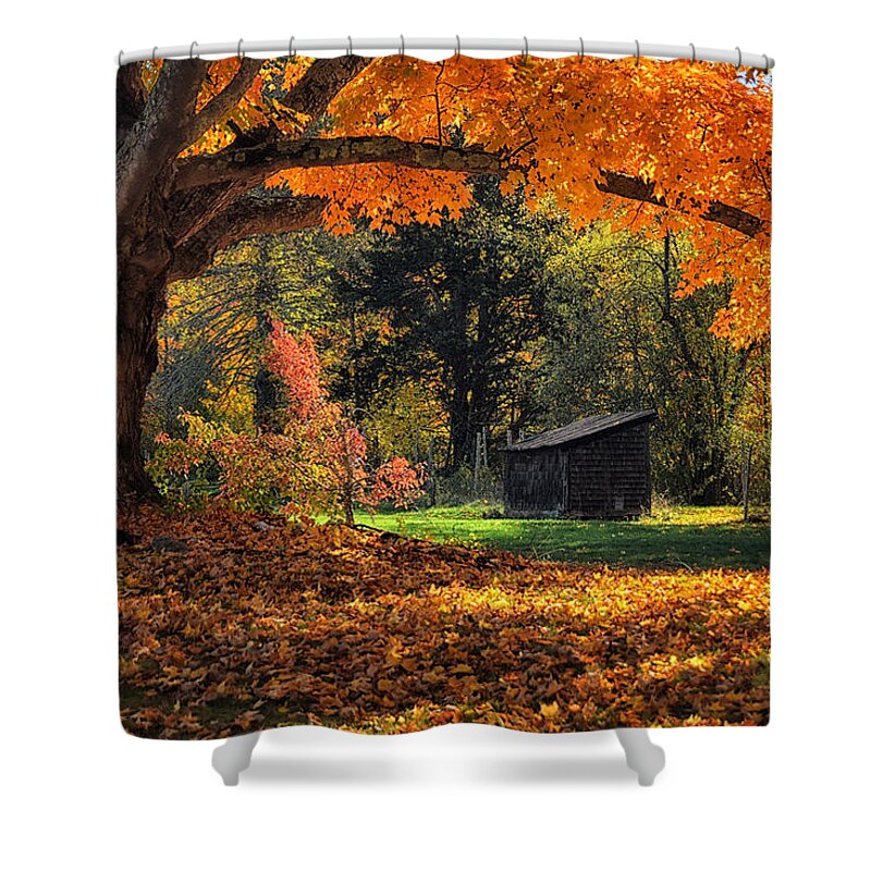 Grass Shower Curtain featuring the photograph Autumn Brilliance by Tricia Marchlik