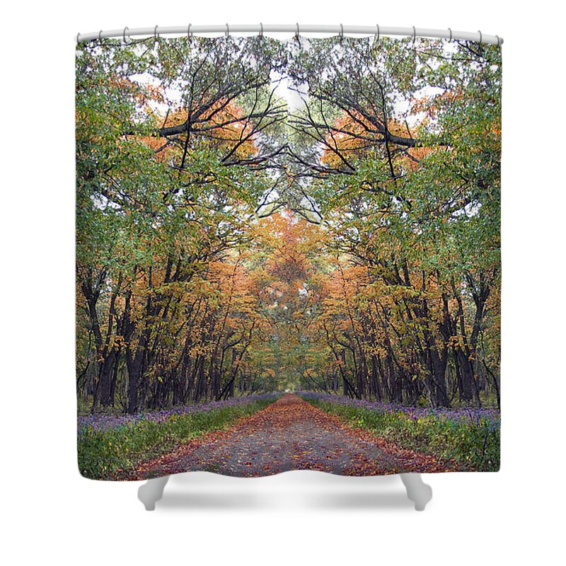 Landscape Shower Curtain featuring the photograph Autumn Canopy by Cedric Hampton