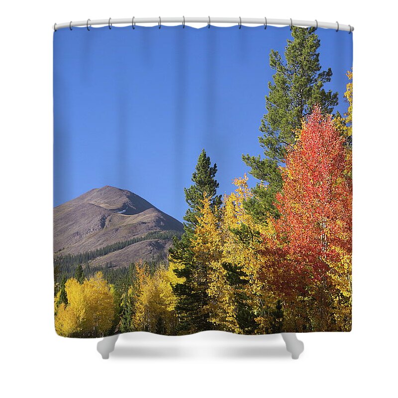 Aspen Shower Curtain featuring the photograph Autumn Colors by Ivan Franklin