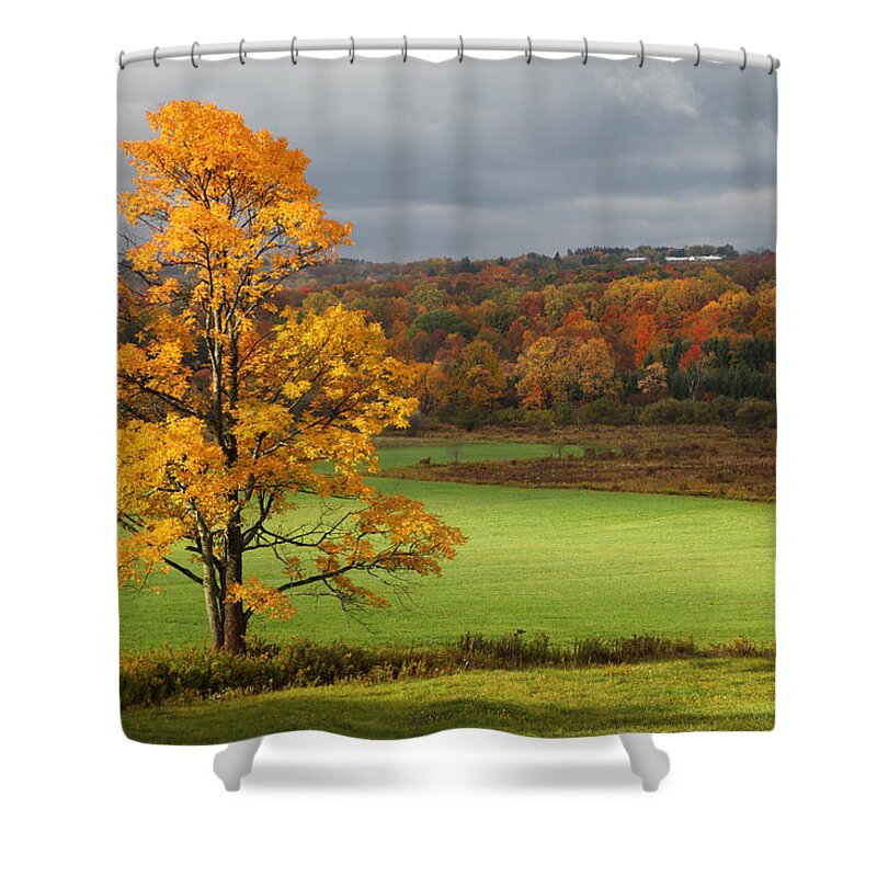 Autumn Shower Curtain featuring the photograph Autumn Colors by Robert Och