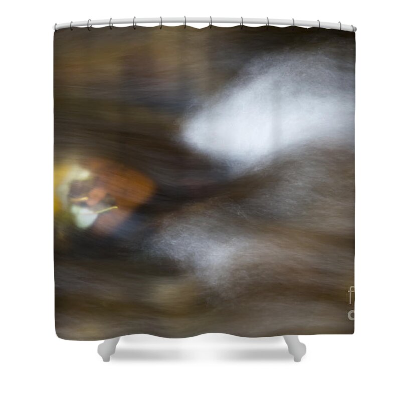 Leaves Shower Curtain featuring the photograph Autumn Concealed by Michael Dawson