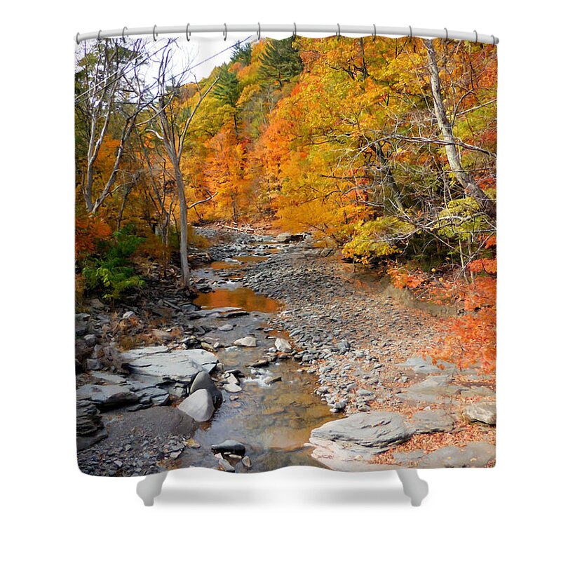 Autumn Creek Shower Curtain featuring the painting Autumn creek 5 by Jeelan Clark