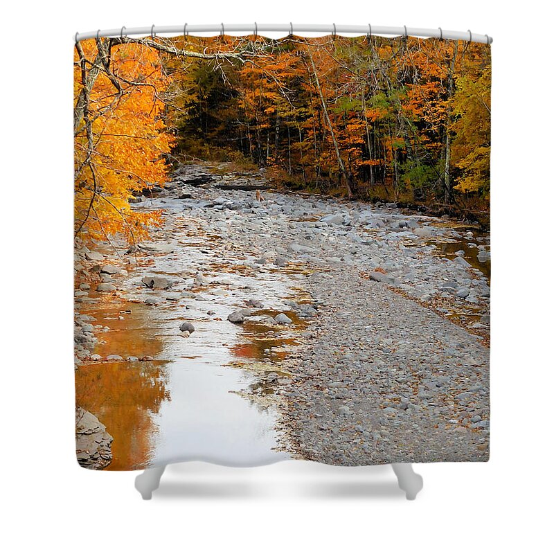 Autumn Creek Shower Curtain featuring the painting Autumn creek 9 by Jeelan Clark