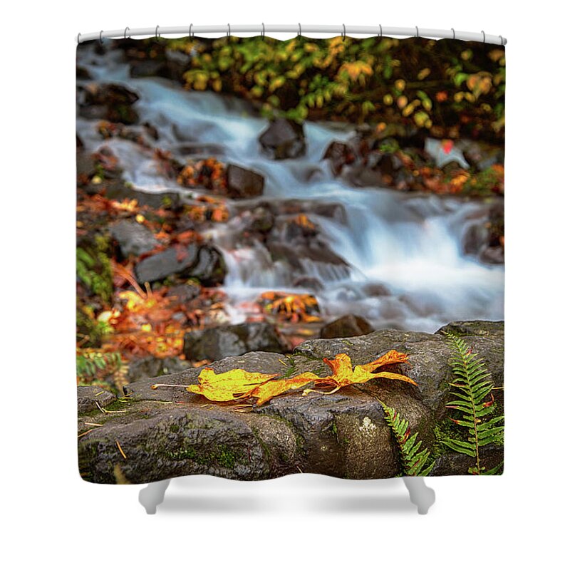 Portland Shower Curtain featuring the photograph Autumn Days by Raf Winterpacht