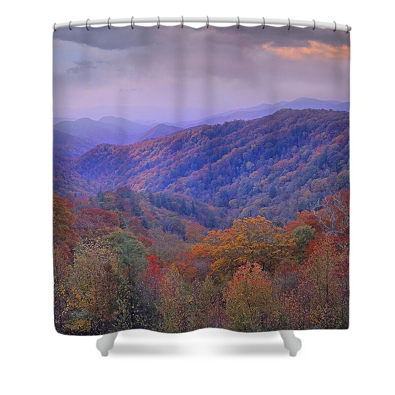 00175805 Shower Curtain featuring the photograph Autumn Deciduous Forest Great Smoky by Tim Fitzharris
