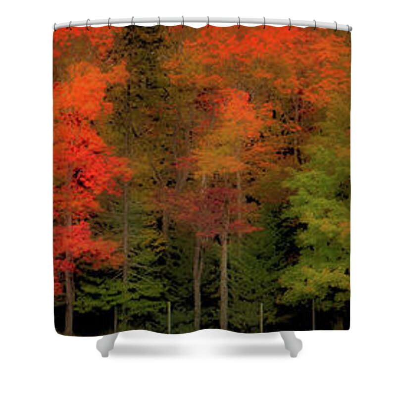 Landscapes Shower Curtain featuring the photograph Autumn Fence line by David Patterson