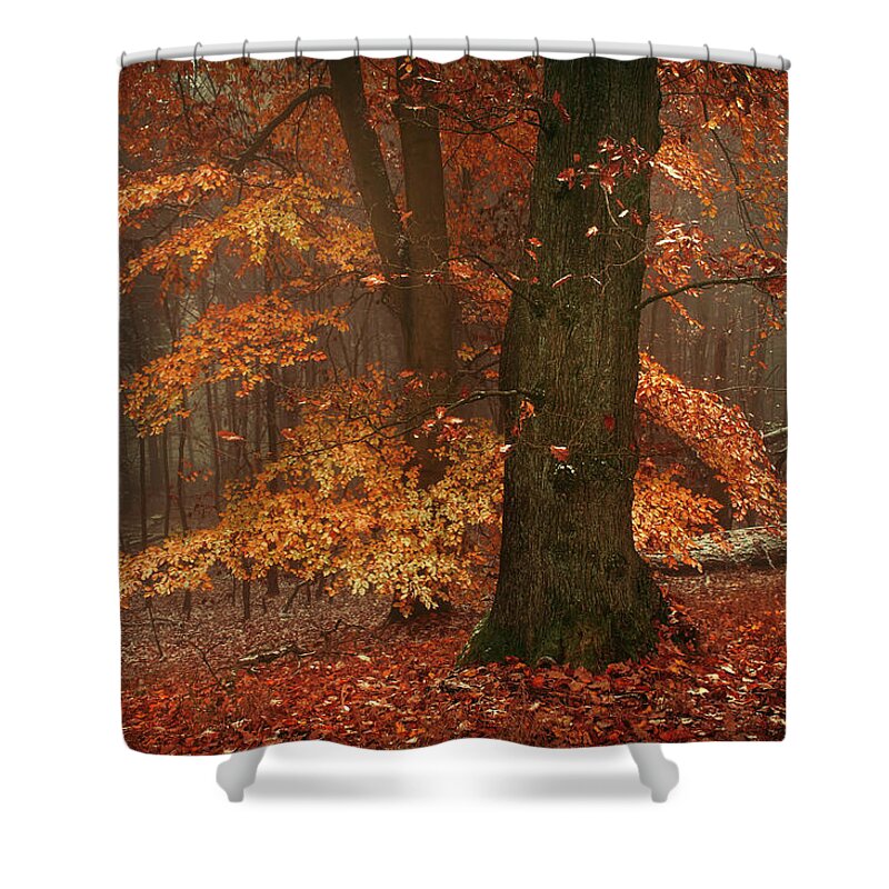 Jenny Rainbow Fine Art Photography Shower Curtain featuring the photograph Autumn Fire by Jenny Rainbow