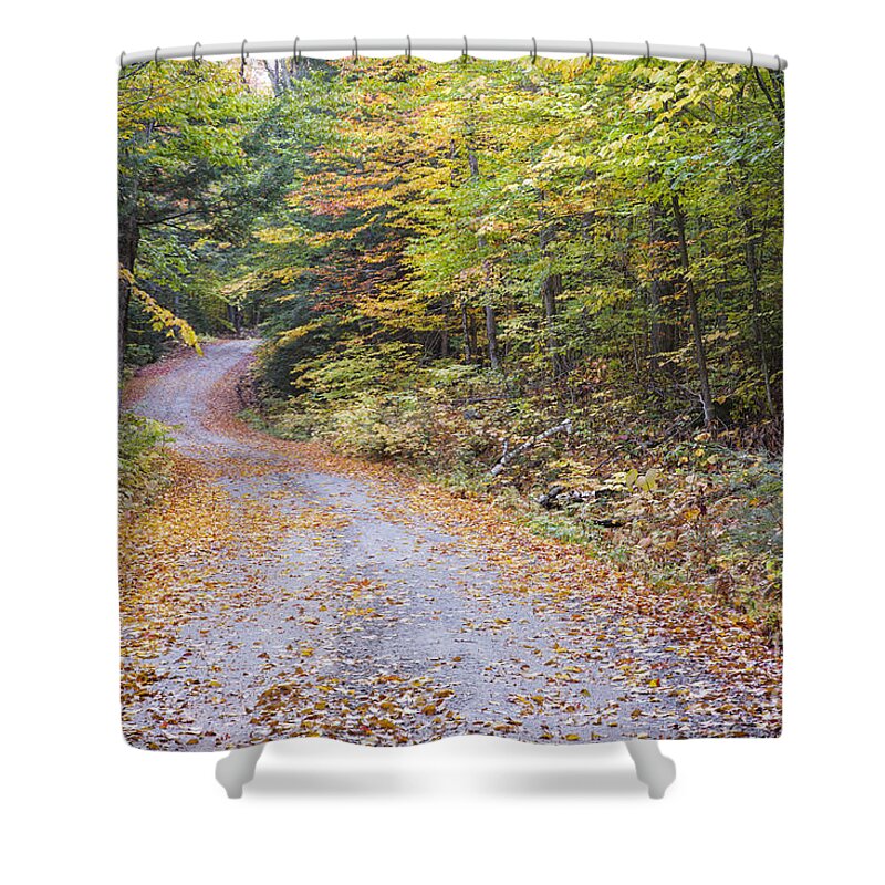 1800s Shower Curtain featuring the photograph Autumn Foliage - Sandwich Notch Road New Hampshire by Erin Paul Donovan