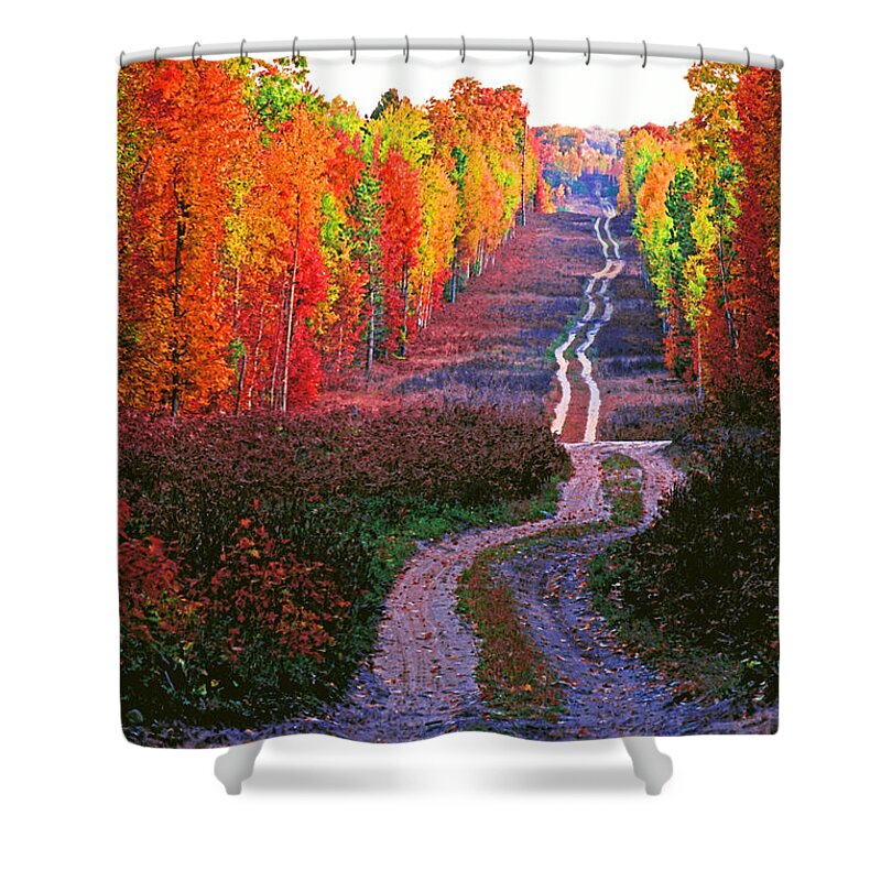 Michigan Shower Curtain featuring the photograph Autumn Forest Track by Dennis Cox