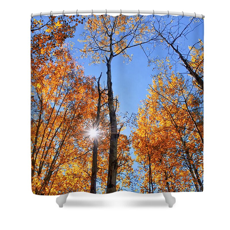 Autumn Leaves Shower Curtain featuring the photograph Autumn Gold Sunburst by Christina Rollo