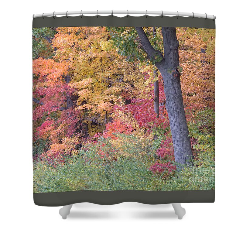 Autumn Shower Curtain featuring the photograph Autumn Impression by Ann Horn