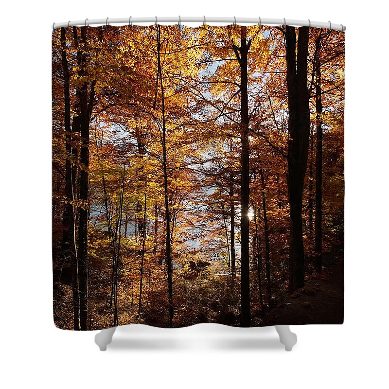 Prott Shower Curtain featuring the photograph Autumn In The Alps 4 by Rudi Prott