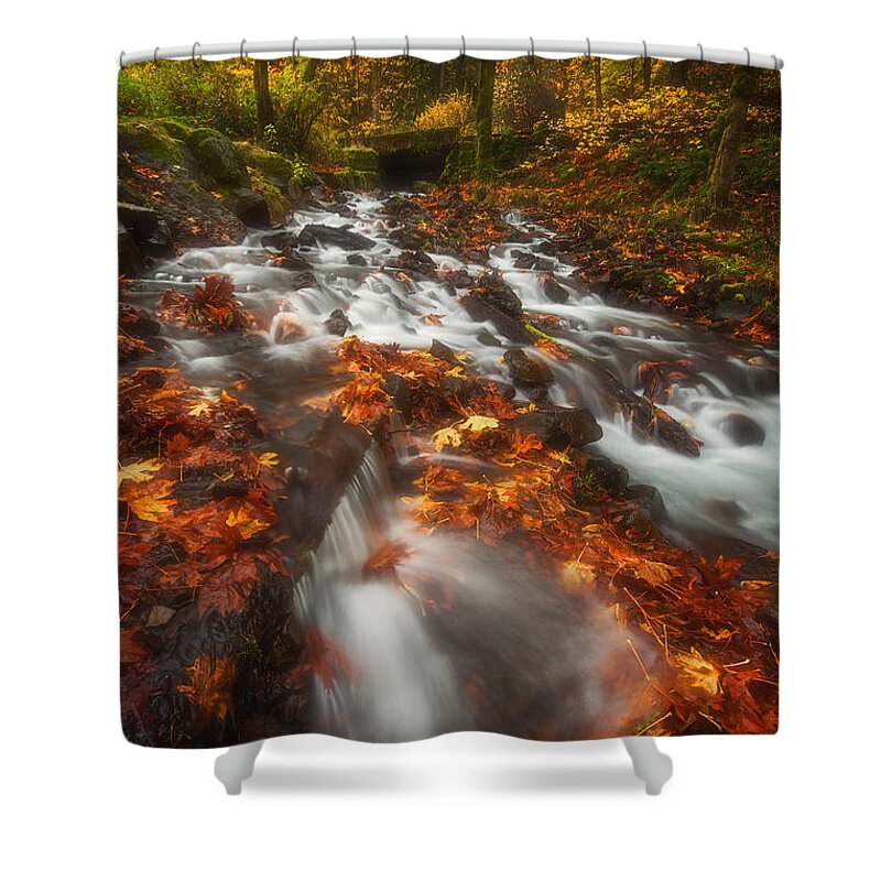 Fall Shower Curtain featuring the photograph Autumn in the Gorge by Darren White