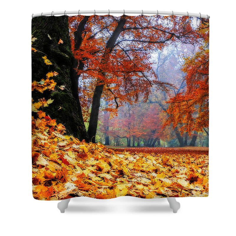 Autumn Shower Curtain featuring the photograph Autumn In The Woodland by Hannes Cmarits