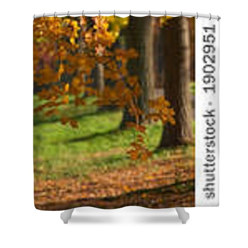  Shower Curtain featuring the photograph Autumn by James Knecht