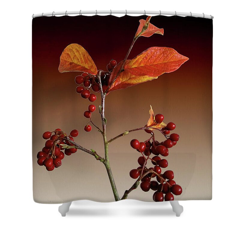 Leafs Shower Curtain featuring the photograph Autumn leafs and red berries by David French