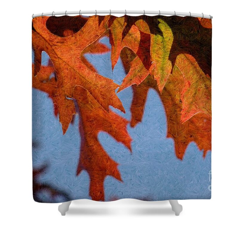 Autumn Shower Curtain featuring the photograph Autumn Leaves 6 by Jean Bernard Roussilhe