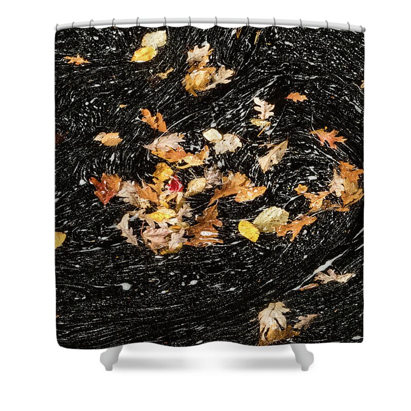 David Letts Shower Curtain featuring the photograph Autumn Leaves Abstract by David Letts