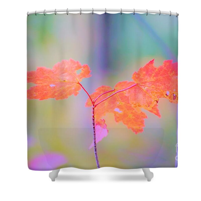Autumn Shower Curtain featuring the photograph Autumn Leaves by Merle Grenz