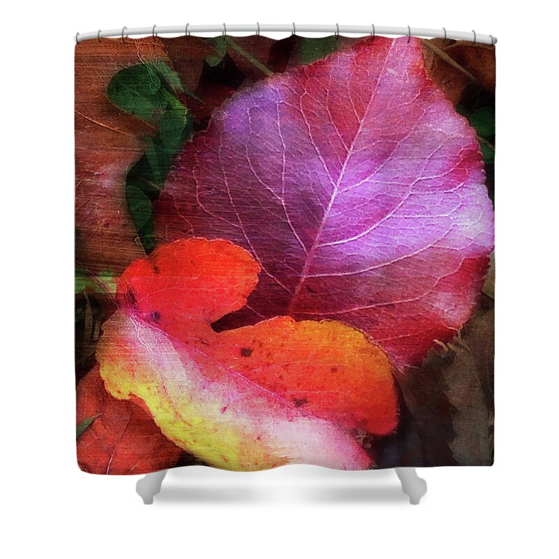 Autumn Leaves Shower Curtain featuring the photograph Autumn Leaves by Terri Harper