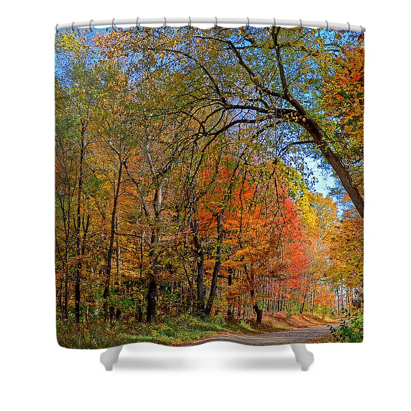 Autumn Shower Curtain featuring the photograph Autumn Light by Rodney Campbell