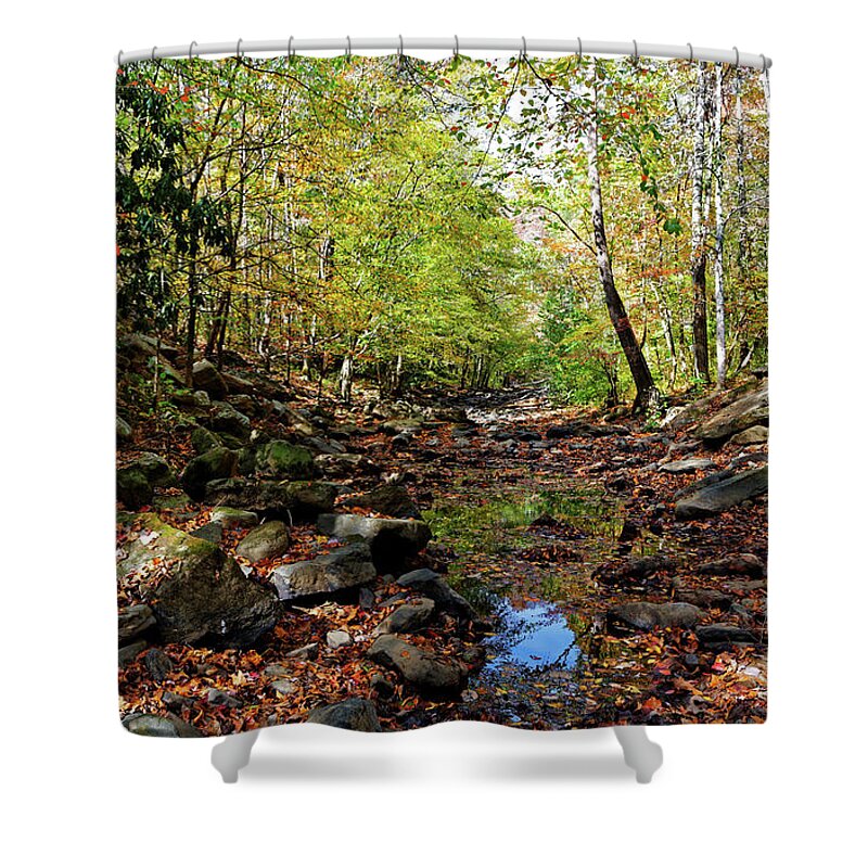 Autumn Shower Curtain featuring the photograph Autumn Magical Colors by Paul Mashburn