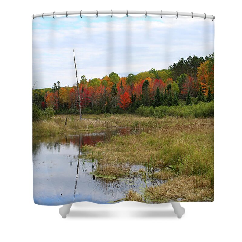 Autumn Shower Curtain featuring the photograph Autumn Marsh View by Brook Burling
