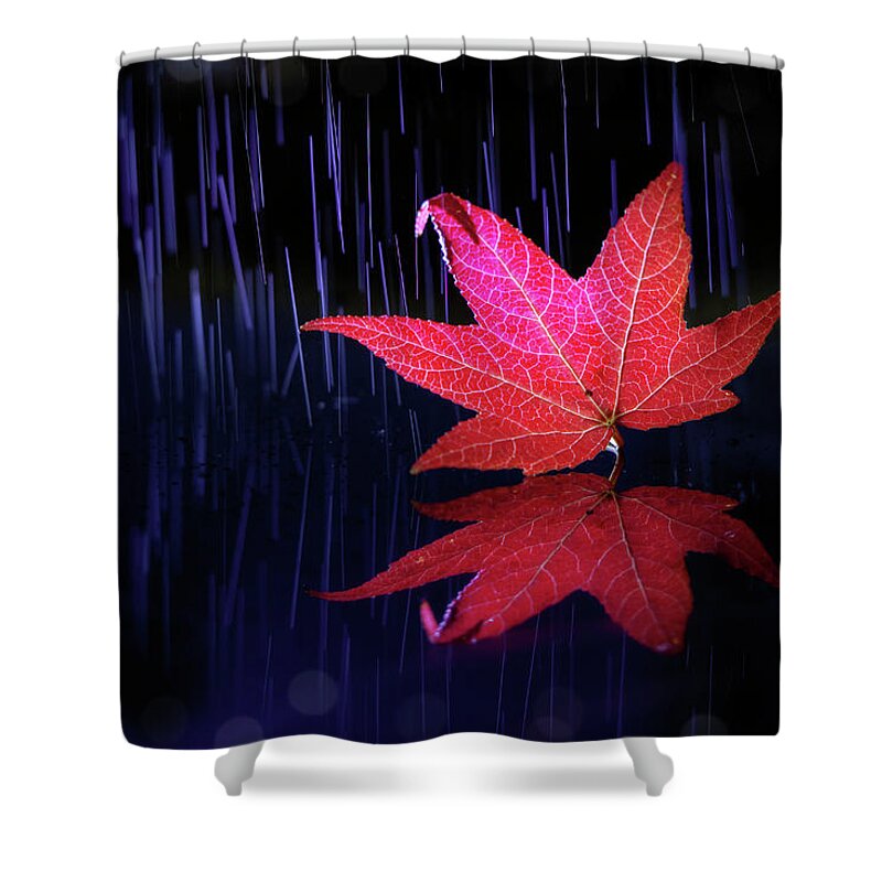 Autumn Leaf Shower Curtain featuring the photograph Autumn message by William Lee
