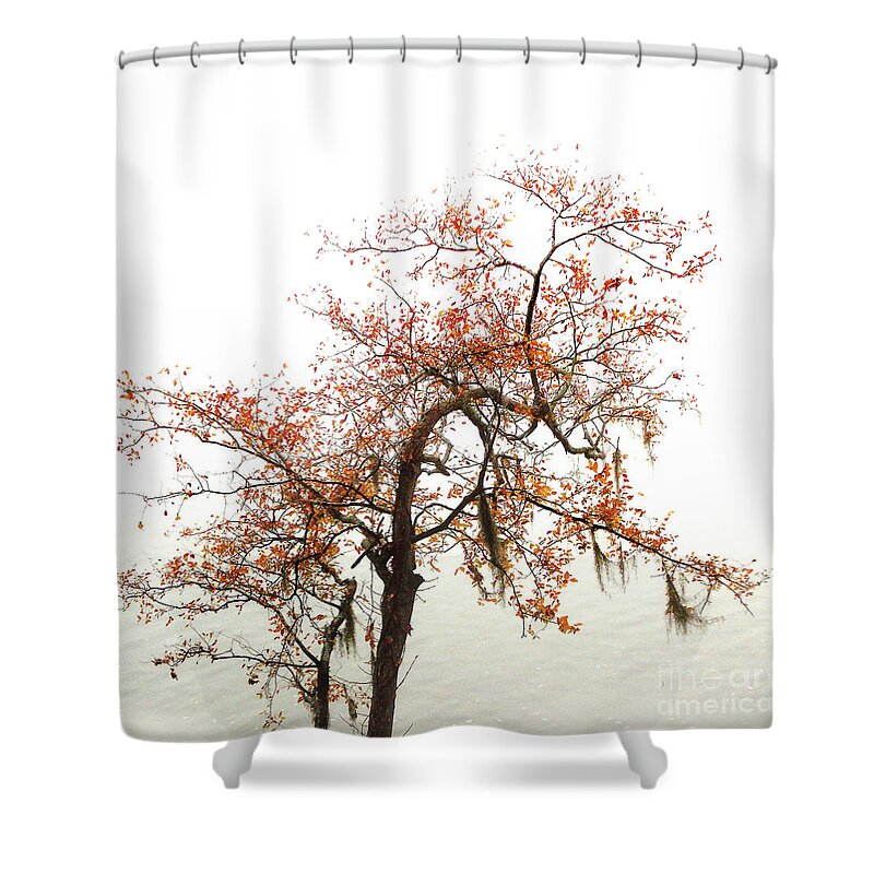 Plants Shower Curtain featuring the photograph Autumn Mirage by Skip Willits
