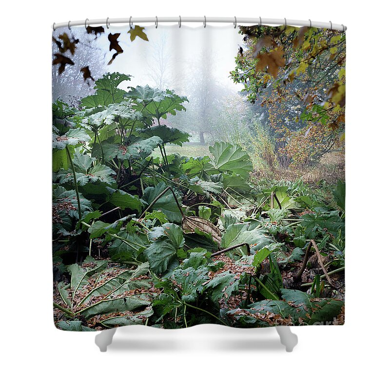 Autumn Shower Curtain featuring the photograph Autumn Mist, Great Dixter Garden by Perry Rodriguez