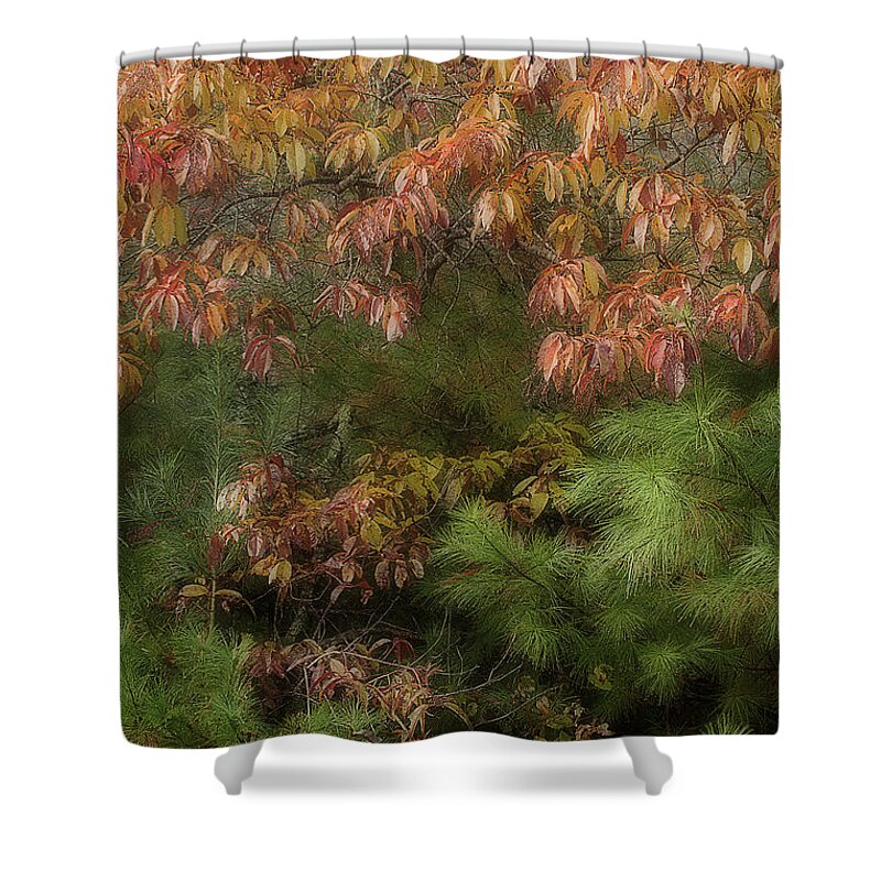 Leaves Shower Curtain featuring the photograph Autumn Mixing by Mike Eingle
